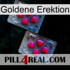 Golden Erection 14